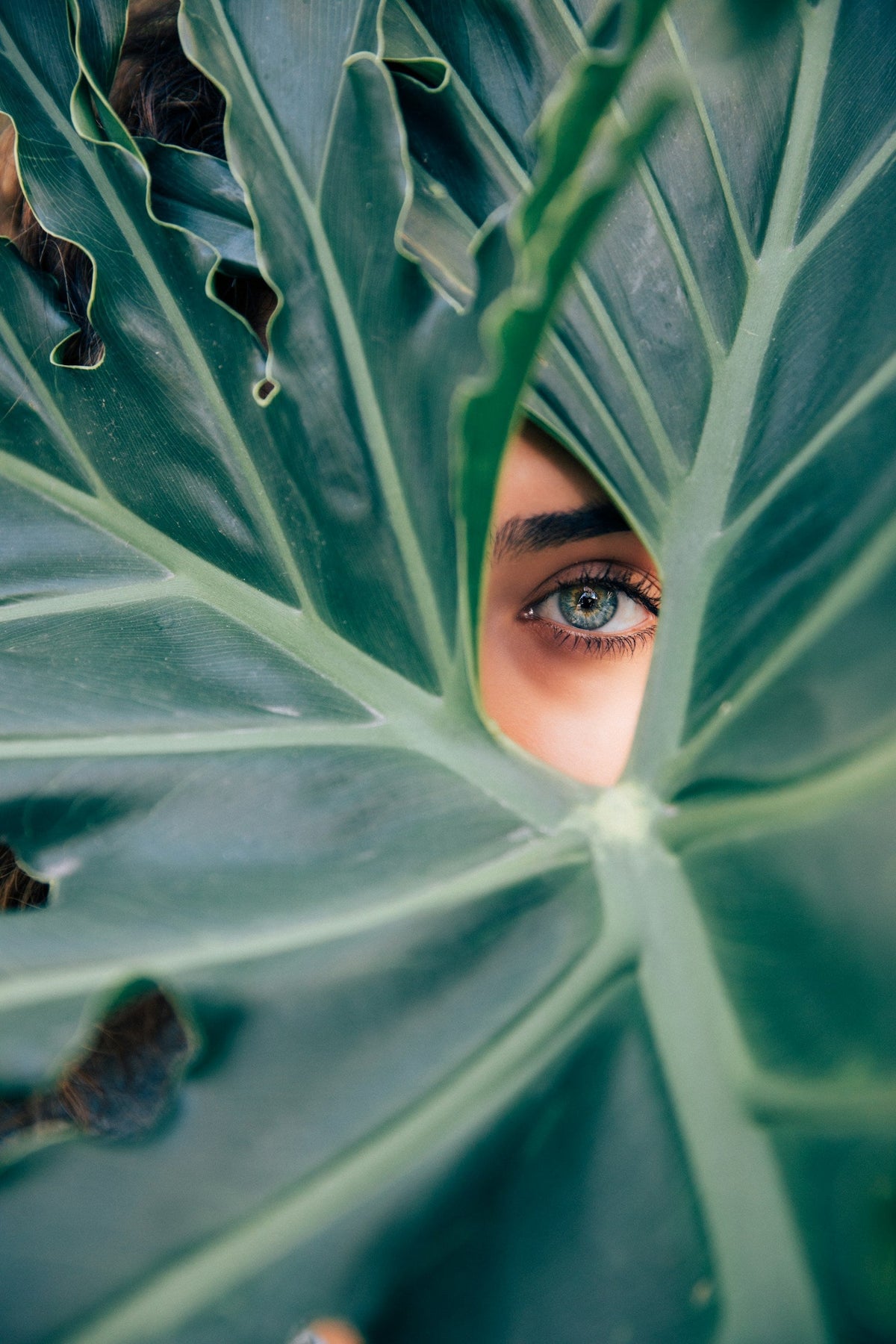 Dermacosmetics: a growing segment in Personal Care