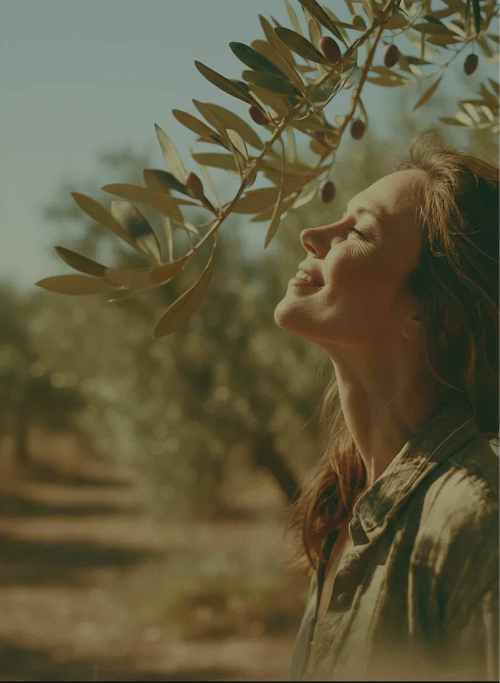 Premium Olive Oil